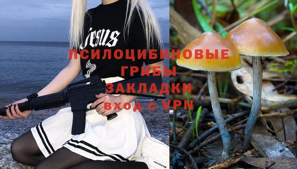 спиды Абаза