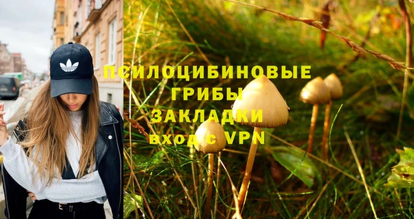 спиды Абаза