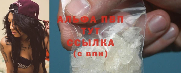 спиды Абаза