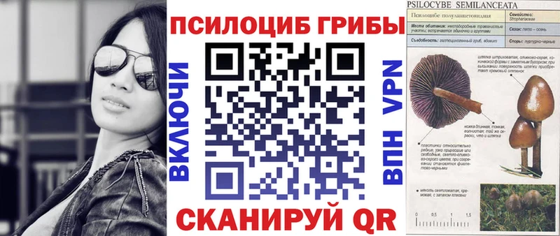 Галлюциногенные грибы MAGIC MUSHROOMS  Шарья 